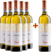 5+1 Paket Custoza DOC