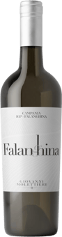 2024 Falanghina Campania IGP