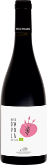 2024 Nero d’Avola DOC Sicilia BIO
