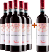 5+1 Paket Valpolicella DOC