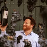 Jonquères d'Oriola Vignobles - Château de Corneilla