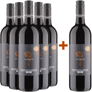 Aktuelle Angebote entdecken: Weine für den Herbst