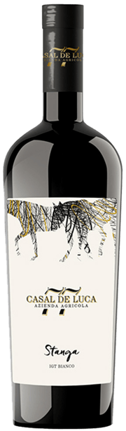 Latium - Weinbautradition bis in die Antike