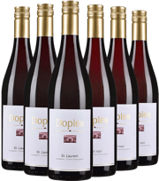 Erkunden Sie die Thermenregion mit Weingut Dopler