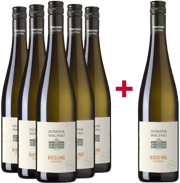 Wachauer Riesling vom Falstaff Winzer des Jahres 2024
