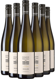 Wachauer Riesling vom Falstaff Winzer des Jahres 2024