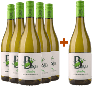 5+1 trockener Weißwein – perfekt für jeden Anlass