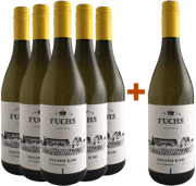 5+1 Sauvignon Blanc – Fruchtig & Würzig