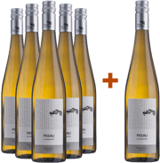 Der Klassiker im 5+1 Paket – Grüner Veltliner Falkenstein