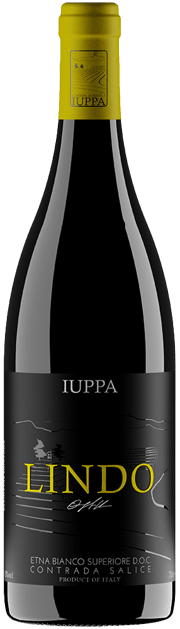 Sizilien - Weine geprägt von Vulkanstein