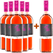 Rosé erleben – Picknick-Feeling im Glas