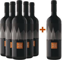 5+1 Paket Sauvignon Friuli Colli Orientali DOC