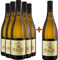 5+1 Paket Fiano Sicilia DOC BIO BIO