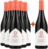 5+1 Paket Casal del Piano Rosso Piceno DOC