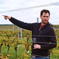 WachterWein