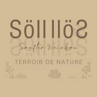 Söll