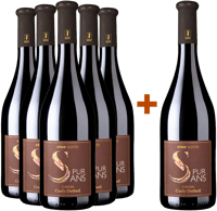 5+1 Paket Pur Sans 2023