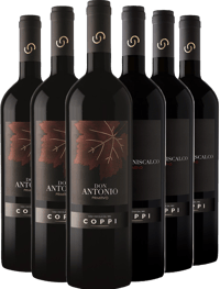 Cantina Coppi Primitivo Paket