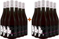 6+6 Paket La dame Blanche BIO