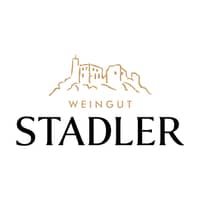 Stadler Falkenstein