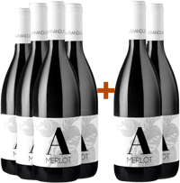 4+2 Paket Merlot Friuli Isonzo DOC