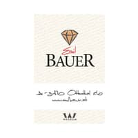 Emil Bauer