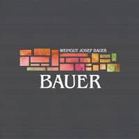 Josef Bauer