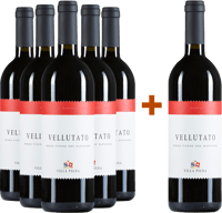 5+1 Paket Vellutato Rosso Piceno Superiore DOC