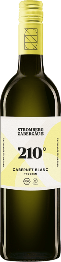 2024 210° Erkundung Cabernet Blanc BIO