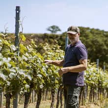 Dirk und Benedikt Wendel