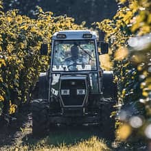 Paolo Tosolini & Tosolini