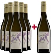 5+1 Donauriesling Bio Paket BIO