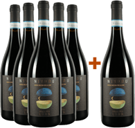 5+1 Paket Nivuru Sicilia DOC