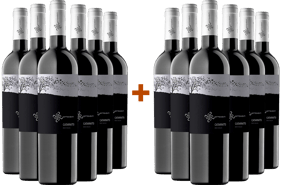 6+6 Paket Catarratto Sicilia DOC BIO