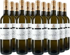 Grüner Veltliner Paket trocken