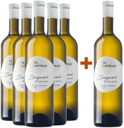 5+1 Paket Bergwerk Terlaner Classico Alto Adige DOC BIO