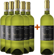 5+1 Paket Bastia Roero Arneis DOCG