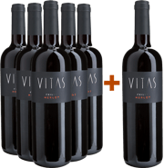 5+1 Merlot Friuli DOC