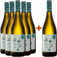 5+1 Paket Asia Blend Cuvée weiß trocken