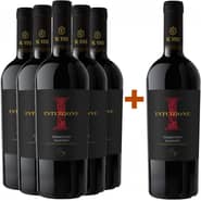 5+1 Paket Intuizione Primitivo Salento IGP