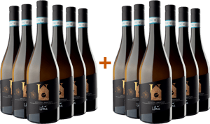 6+6 Pecorino Superiore Abruzzo DOC Bio BIO