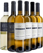 Villa Vitas Weißwein Kennenlern-Paket