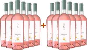 6+6 Paket Geco BIO BIO