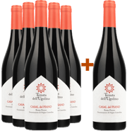 5+1 Paket Casal del Piano Rosso Piceno DOC