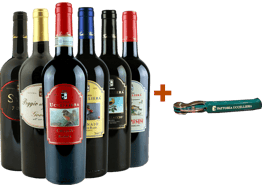 Fattoria Uccelliera Rotwein-Kennenlern-Paket