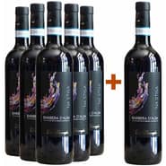5+1 Paket Na'stissa Barbera d'Alba DOC