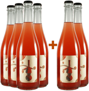 4+2 Paket Universi Paralleli 