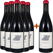 5+1 Paket 2022 Sterenn BIO