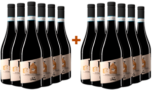 Montepulciano DOC Paket BIO