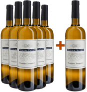 5+1 Paket Traminer Aromatico Friuli DOC